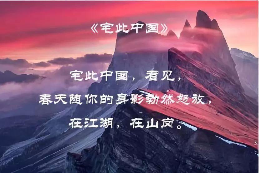 复仇机器人中文版